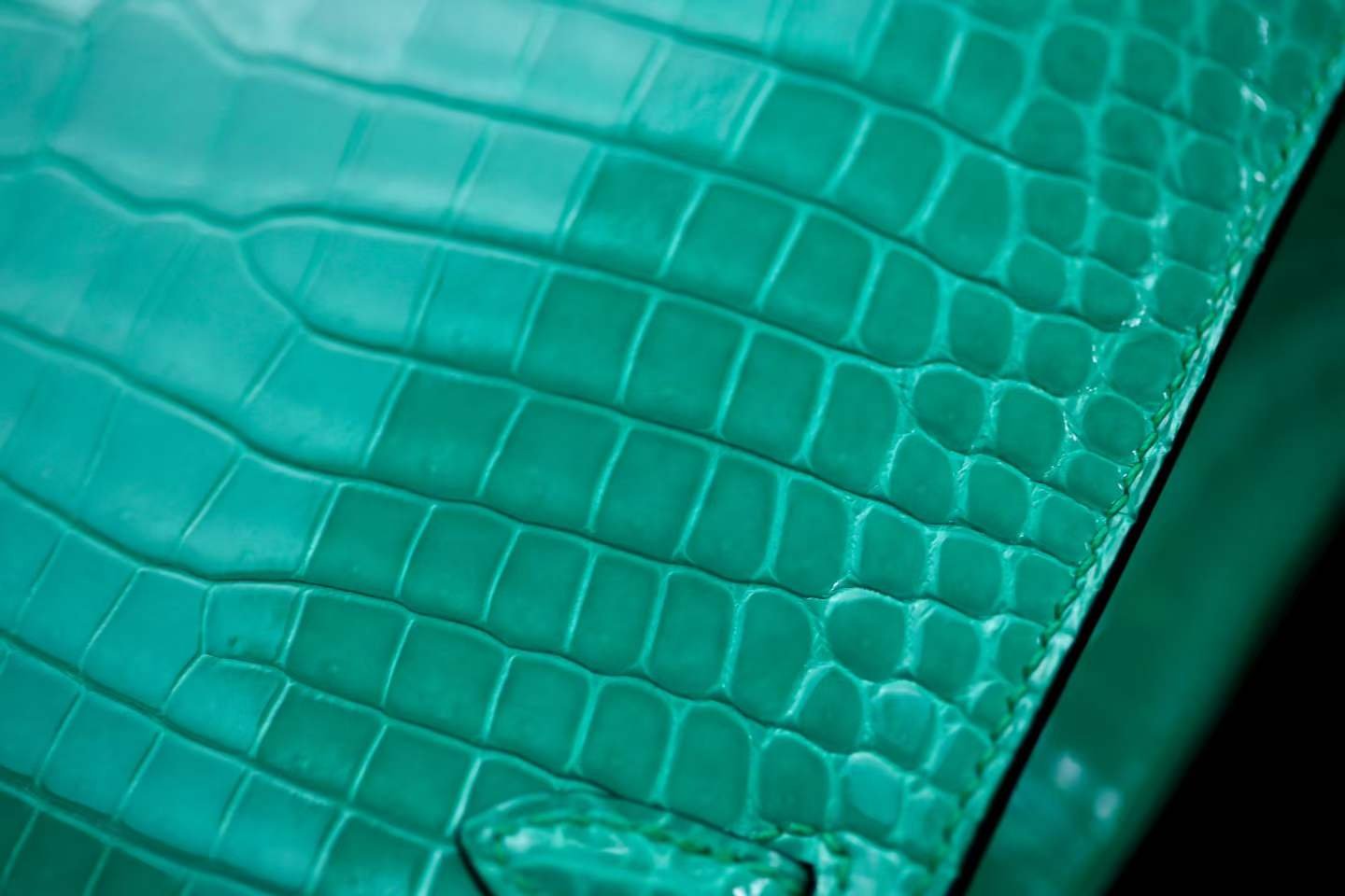Kelly Mini II Emerald Green Crocodile - 图片 9