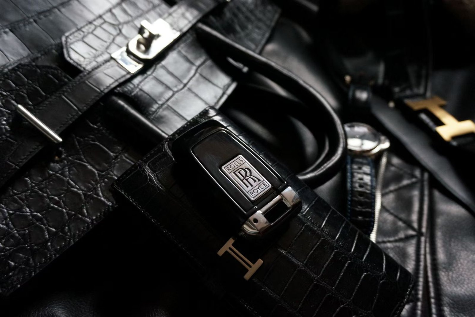 HAC 40 Black Crocodile - 图片 4